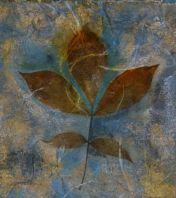 Leaves image